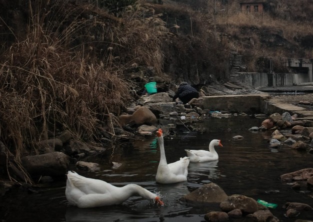 ۰ı°ƻ氲װ